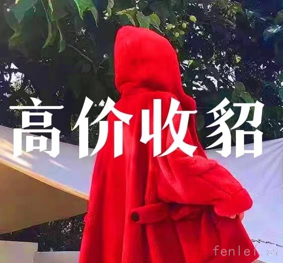 宿迁回收貂皮#宿迁市貂皮回收#上门收购皮草紫貂